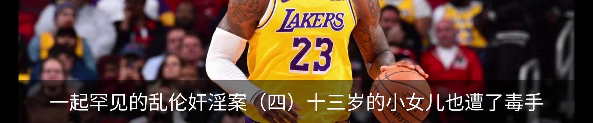 新闻动态