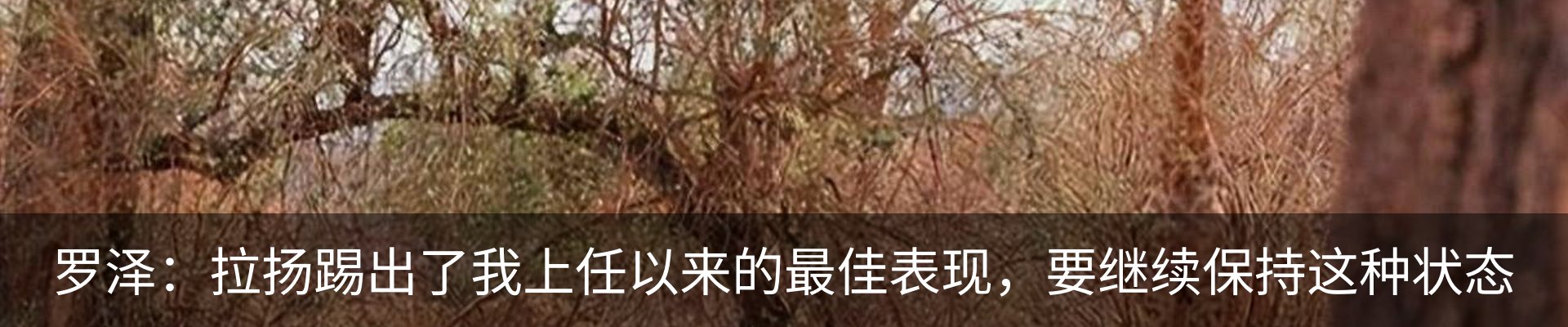 新闻动态