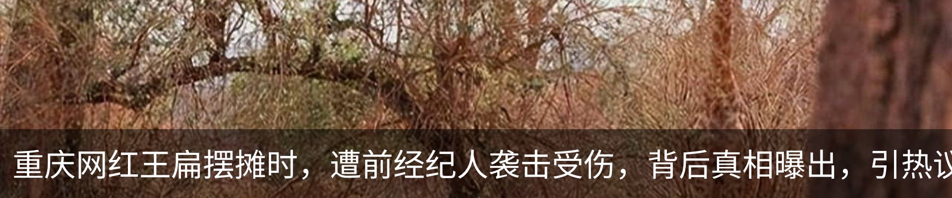 新闻动态