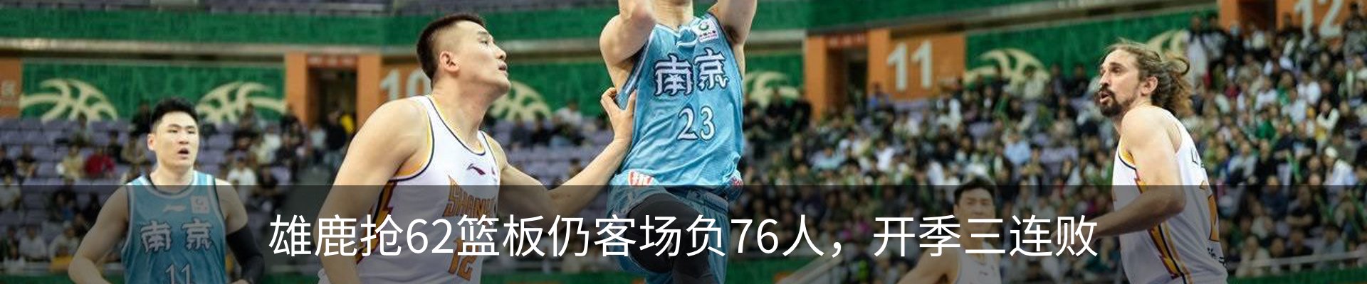 新闻动态