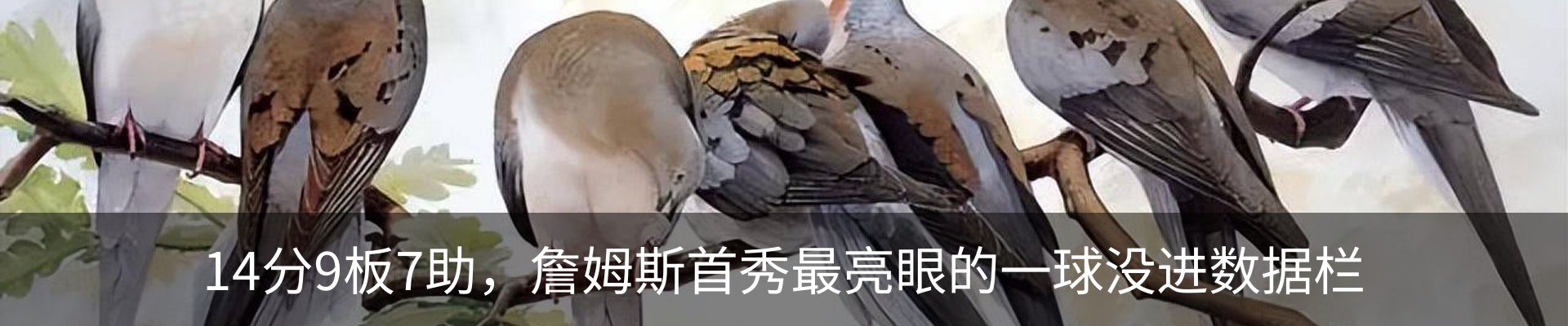 新闻动态